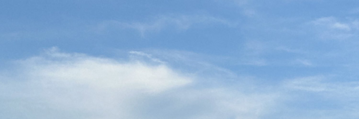 sofiafeeneyy's profile banner image