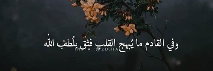 Wafaa3669's profile banner image