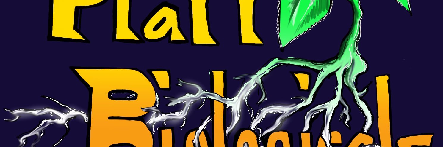 silver_sledder's profile banner image