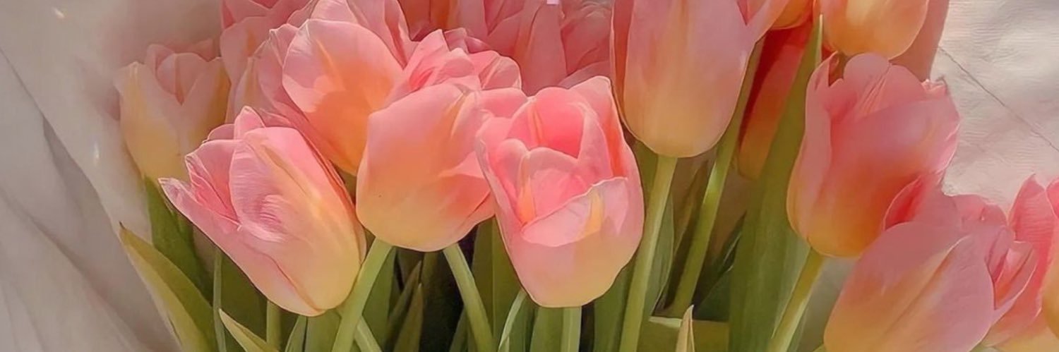 ayoodanni_'s profile banner image