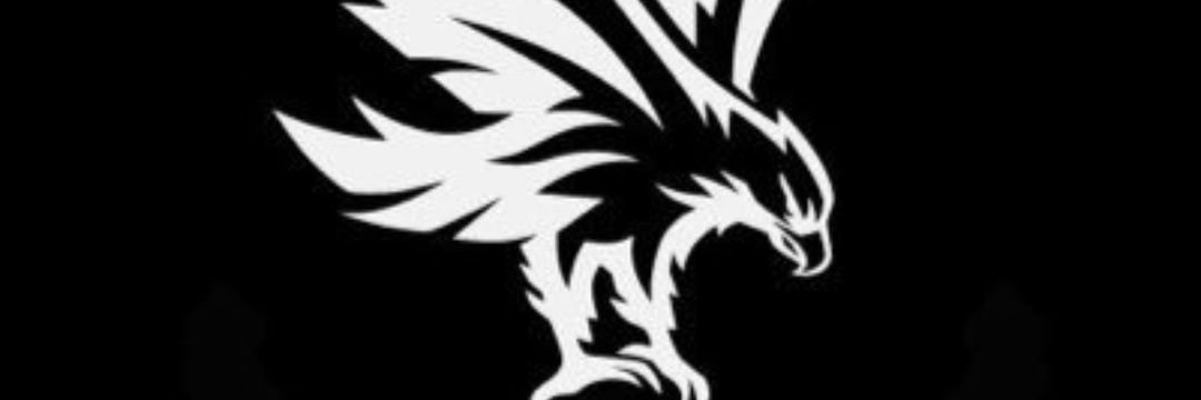 DDwasps's profile banner image
