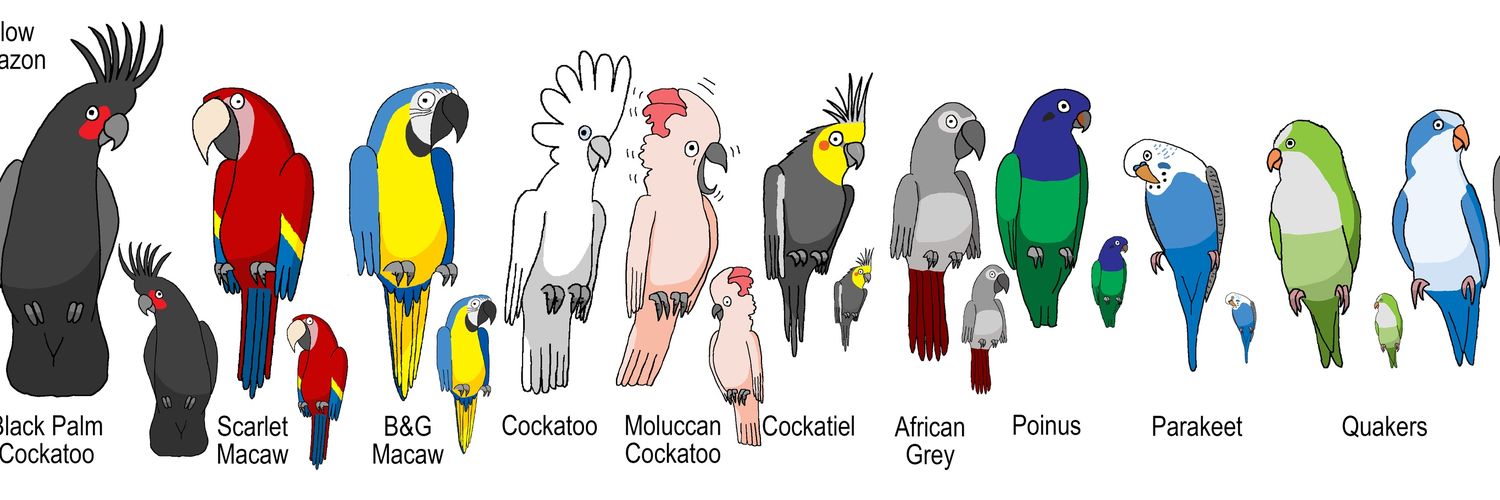 Ellen Uittenbogaard 🦜 🇳🇱 banner