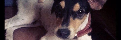 DannP05's profile banner image