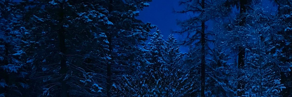 WolfMcCrypto's profile banner image
