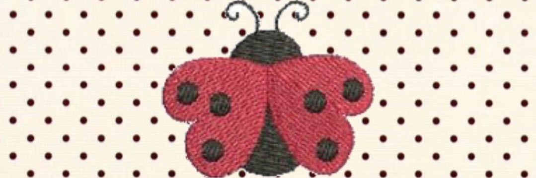 María Paula ꕤ banner