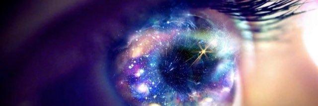 Will banner