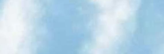 Wiseboy banner