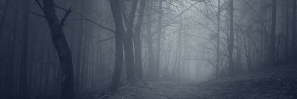 caioks_'s profile banner image