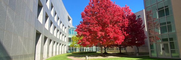 JonathanLea10 Profile Banner