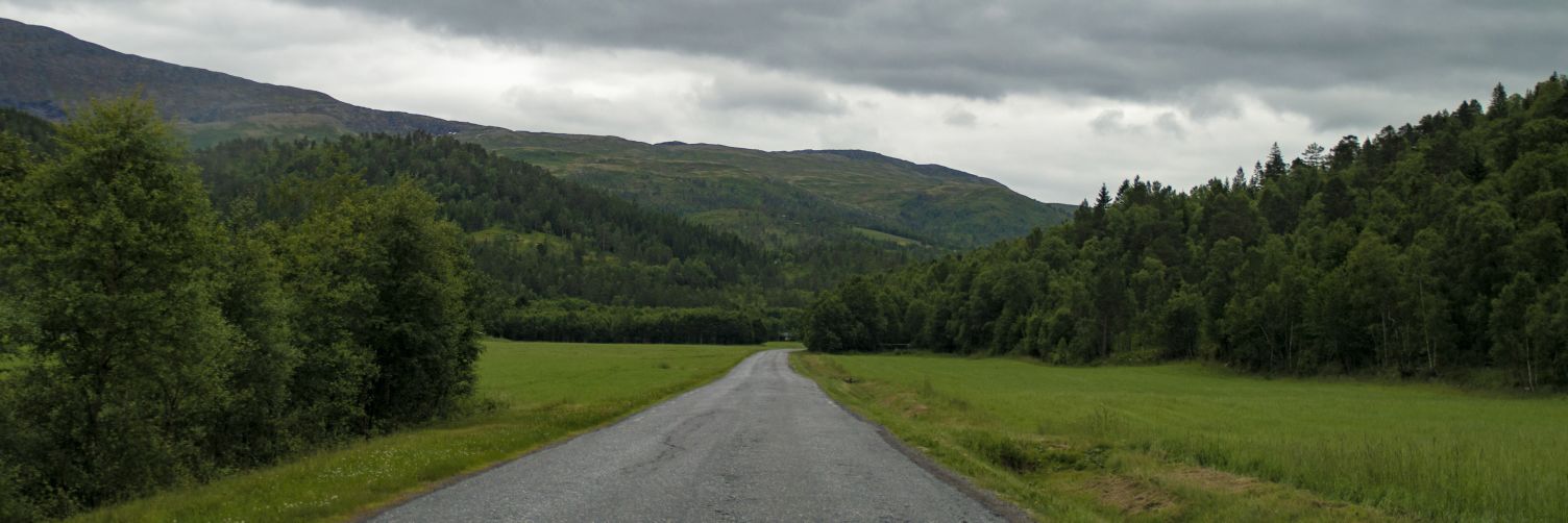 Trond Håkon Hustad banner