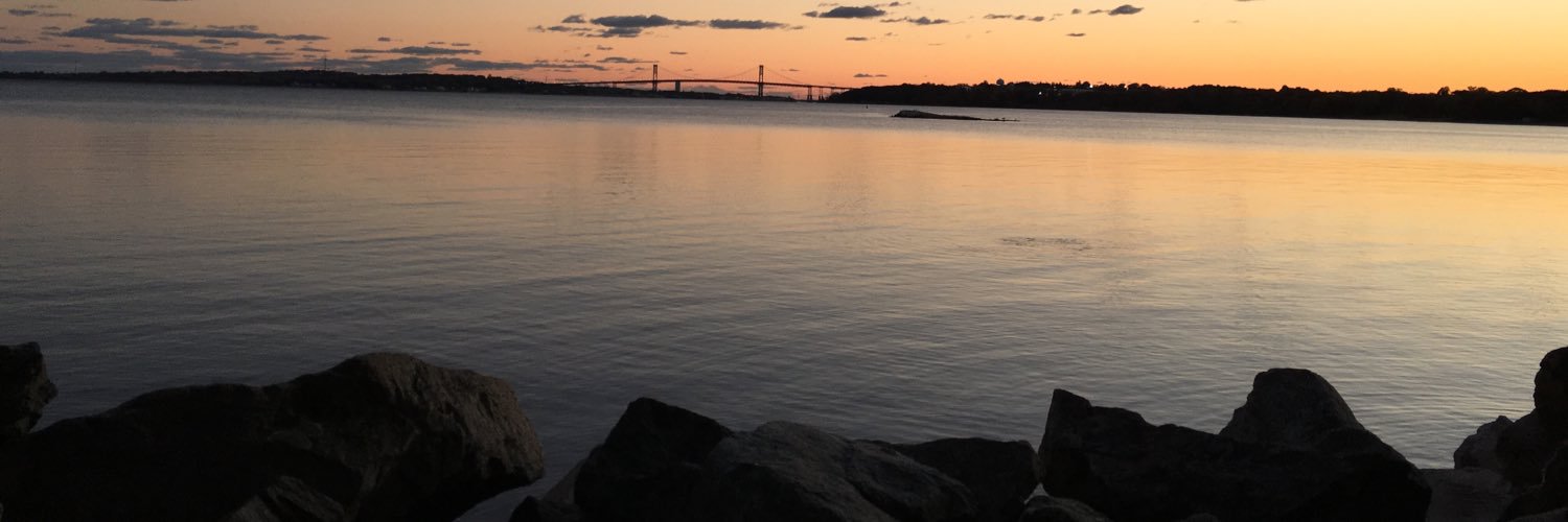 Lizli0n's profile banner image