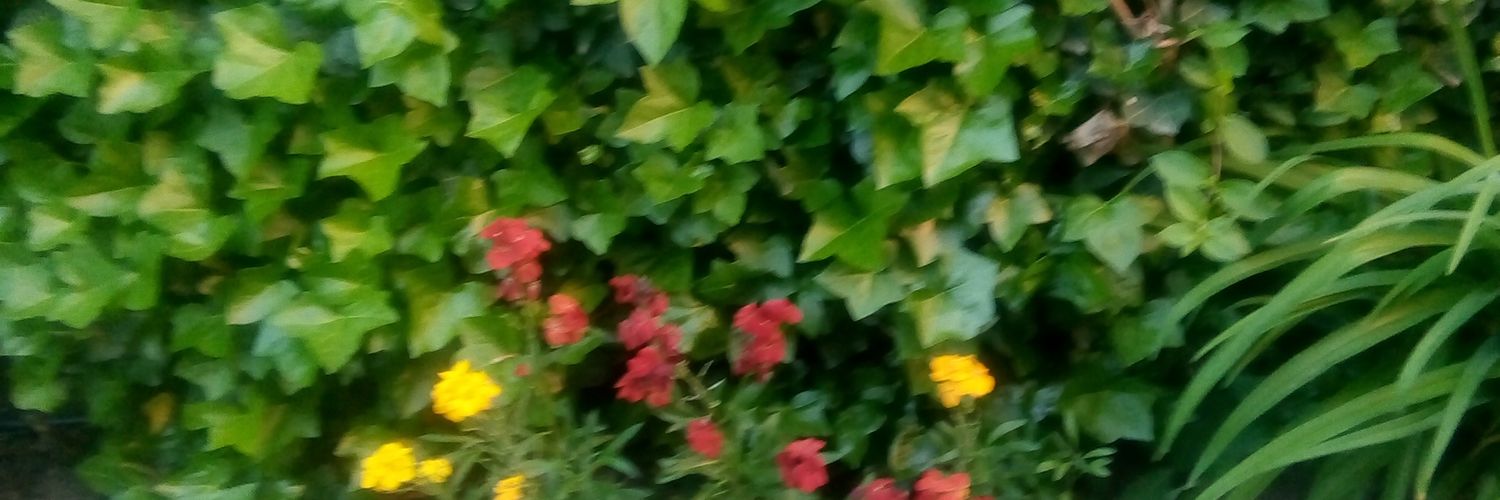 vesnabogdan's profile banner image
