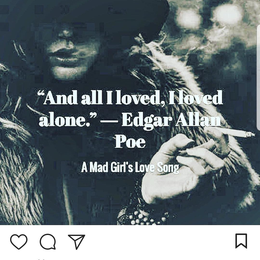 fluffykitty143's profile banner image