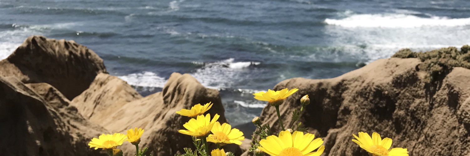 jennnapizzo's profile banner image