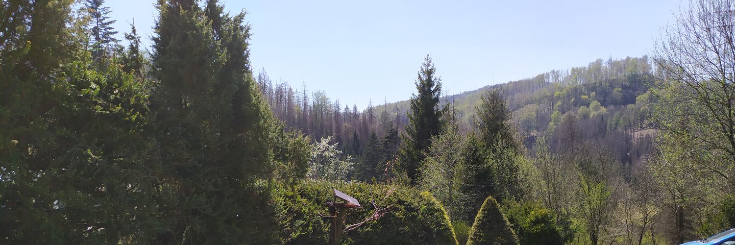 petazl's profile banner image