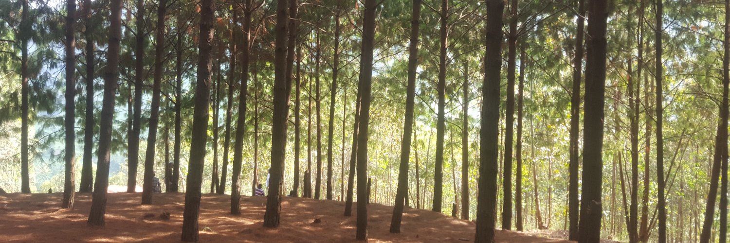 davisbariho's profile banner image