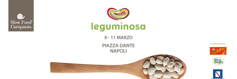 Leguminosa2016's profile banner image