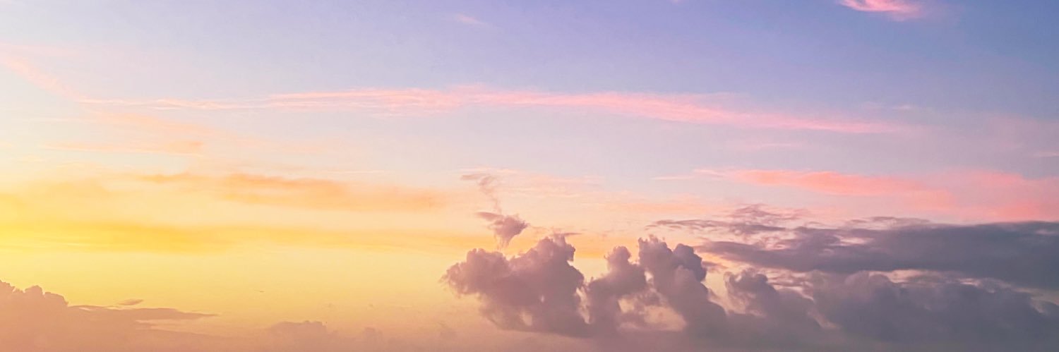 nnrom3o3's profile banner image