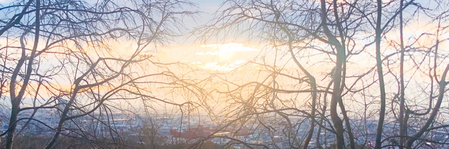 留服认证|教留服|中留服|国外学历学位认证|成绩单毕业证 banner