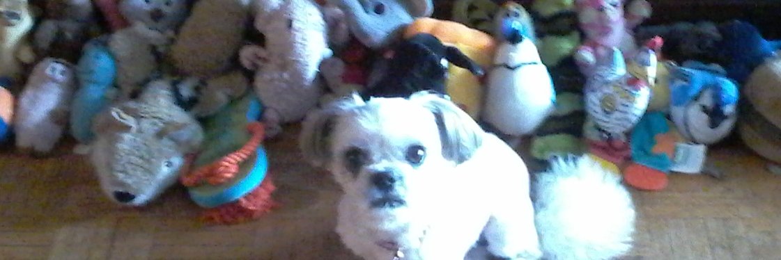 Jack Borenstein banner