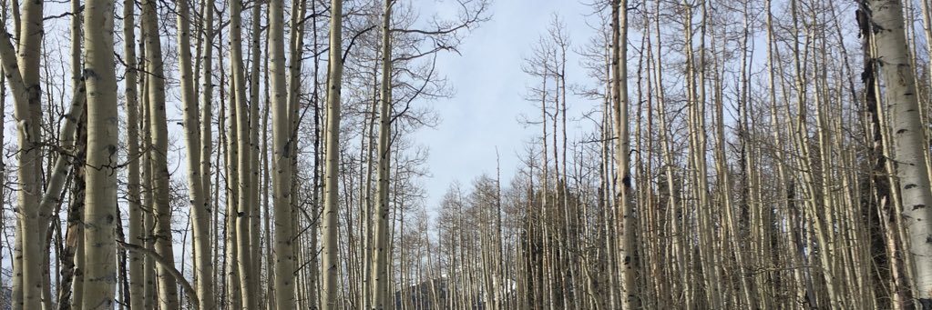emmahrpr's profile banner image