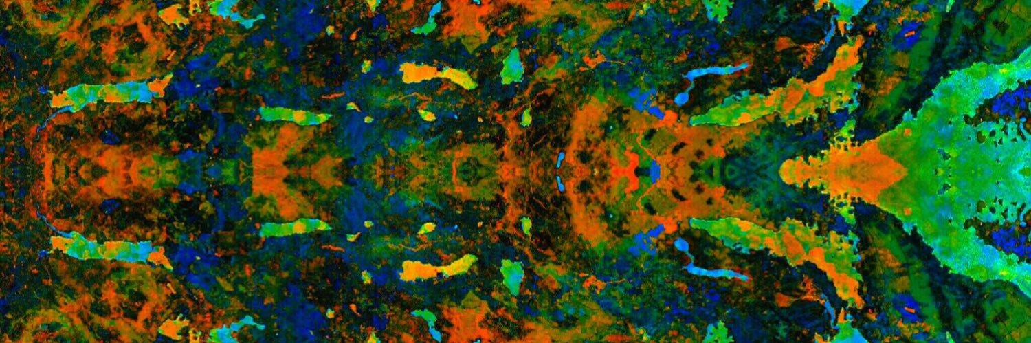 Valerie Pasquarella banner