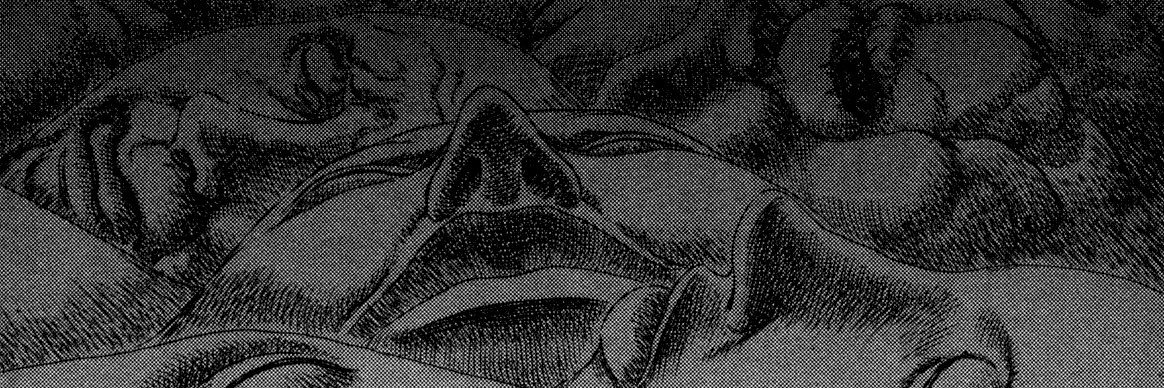 FakeYeshi's profile banner image