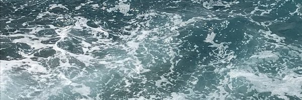 allisonbrain Profile Banner