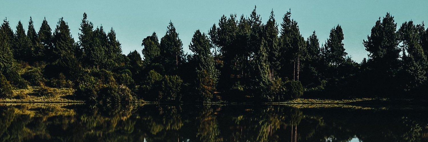 Allanhandro's profile banner image