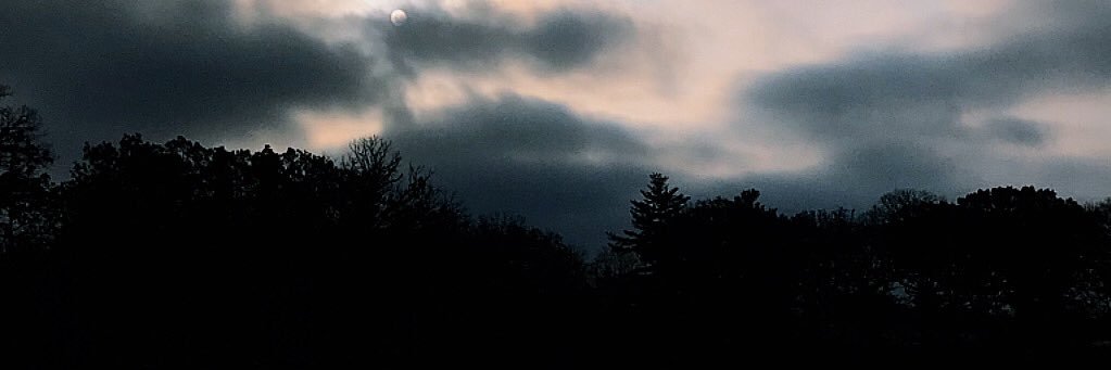 slim_scheidy's profile banner image