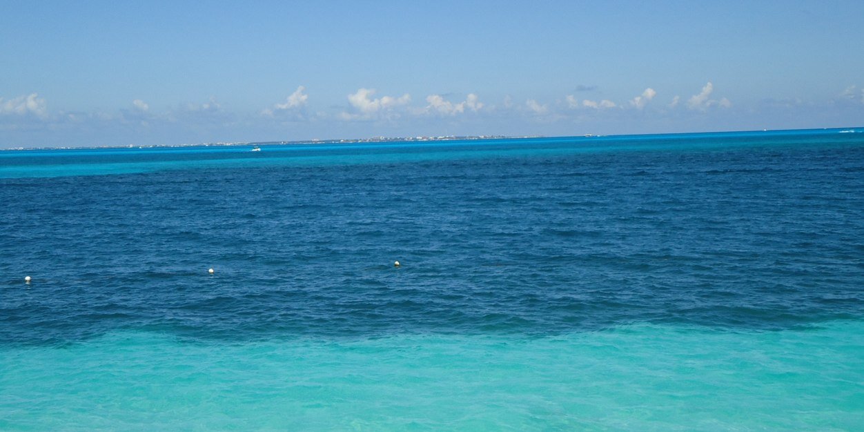 sofrisso's profile banner image