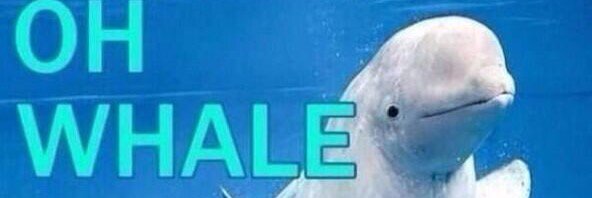 FakeFunFacts1's profile banner image