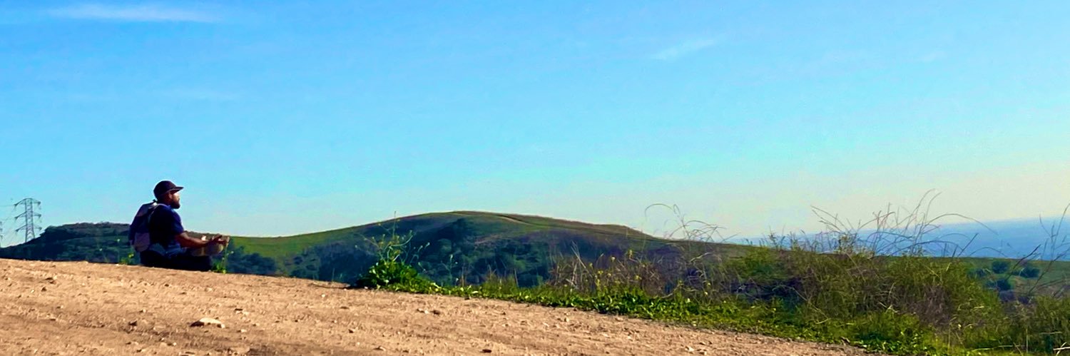 Nothing to See Here banner