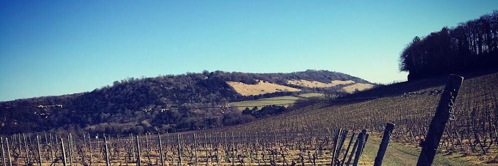 Andy Squirrell banner