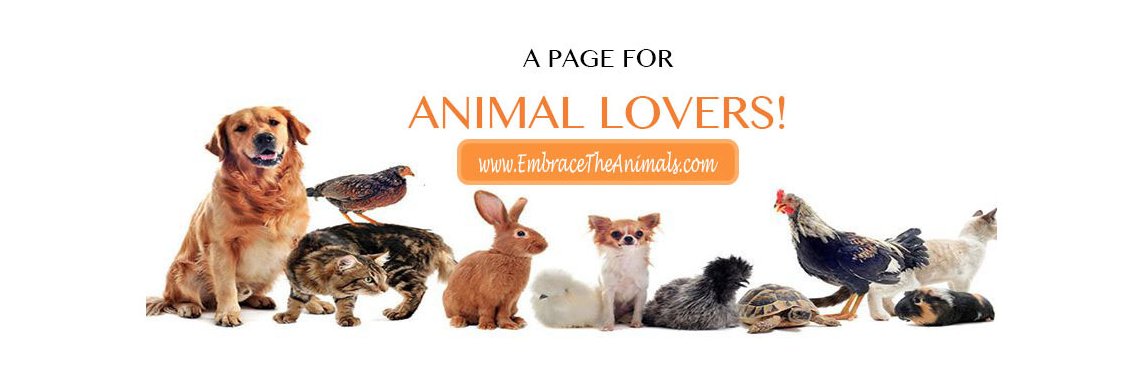 EmbraceAnimals's profile banner image
