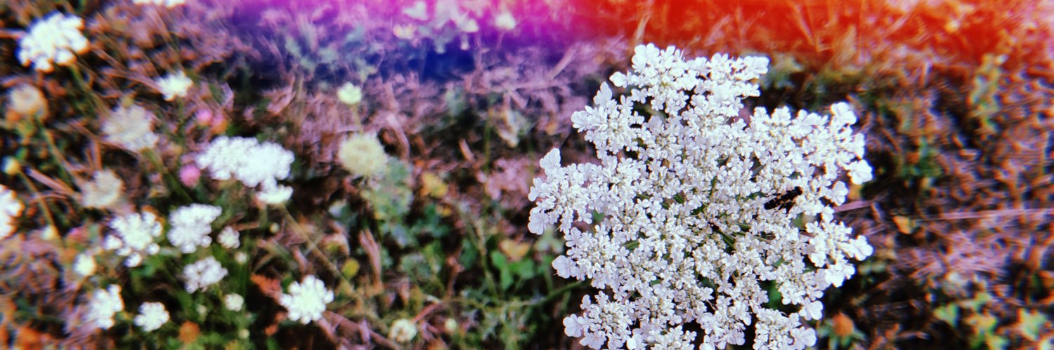 k_armstrong13's profile banner image