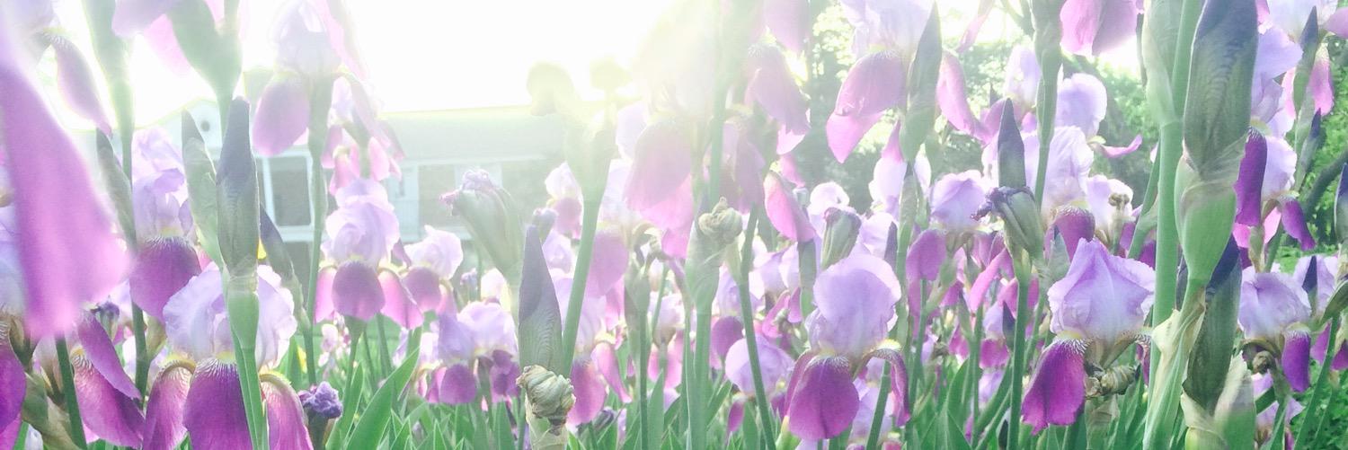 MirandaRae12's profile banner image