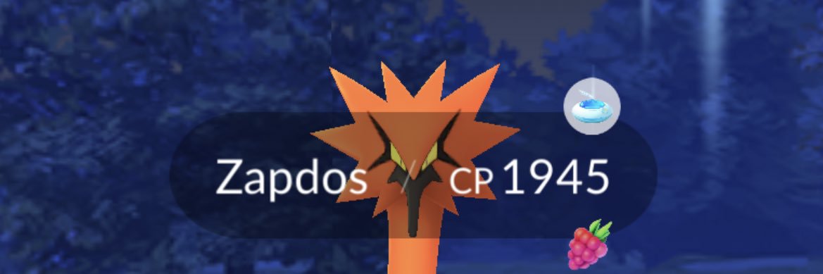 Arlo banner