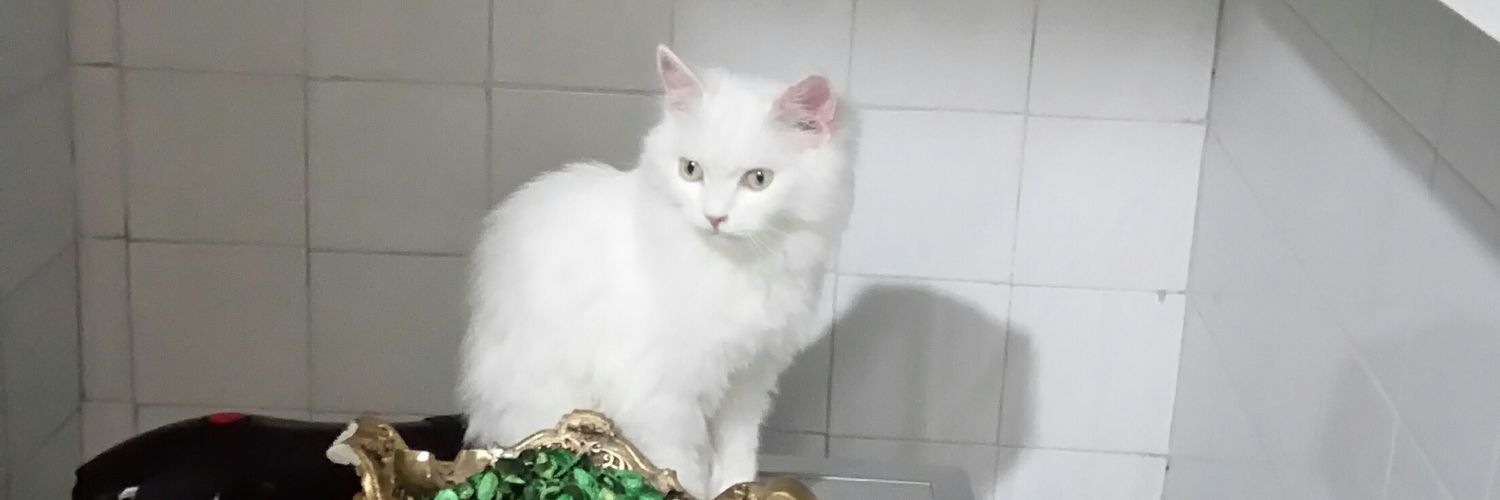 SametBesli3's profile banner image