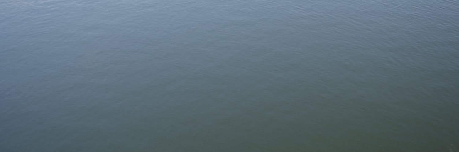 sqchz's profile banner image