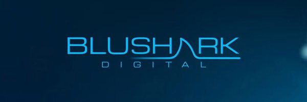 blusharkdigital Profile Banner