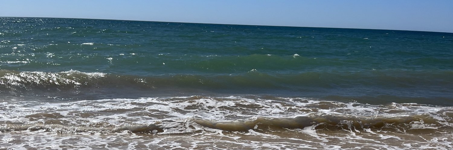 zoediablo's profile banner image