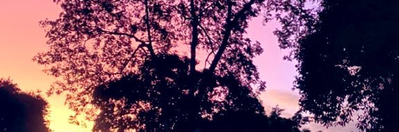 cauemixx's profile banner image