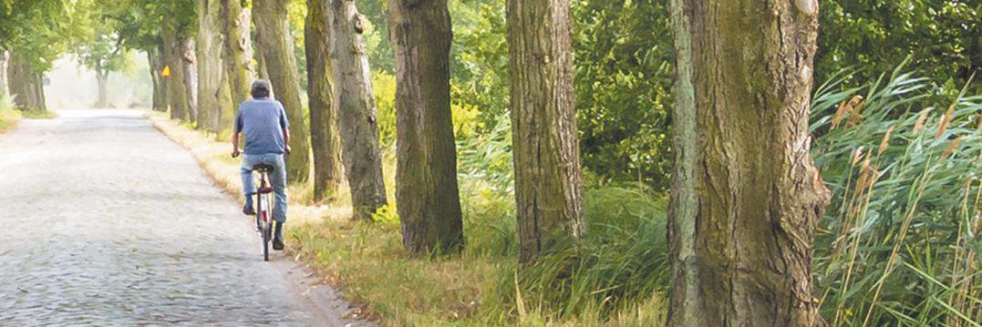 Pedaling_Pastor's profile banner image