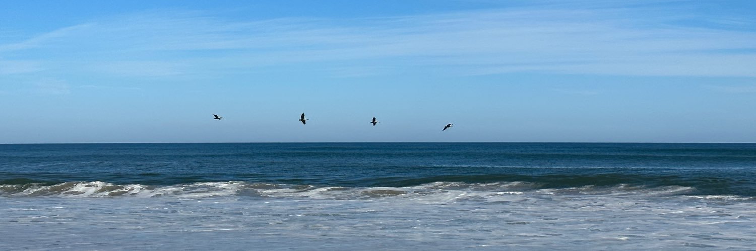 Emily Endert, CHHR #lookingonthebrightside banner