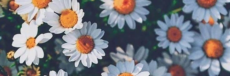 latosdedoraa's profile banner image