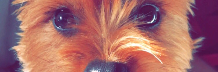 meezyfbaby's profile banner image