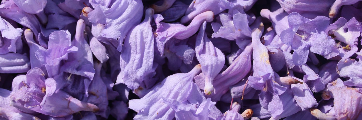 petaldropla's profile banner image