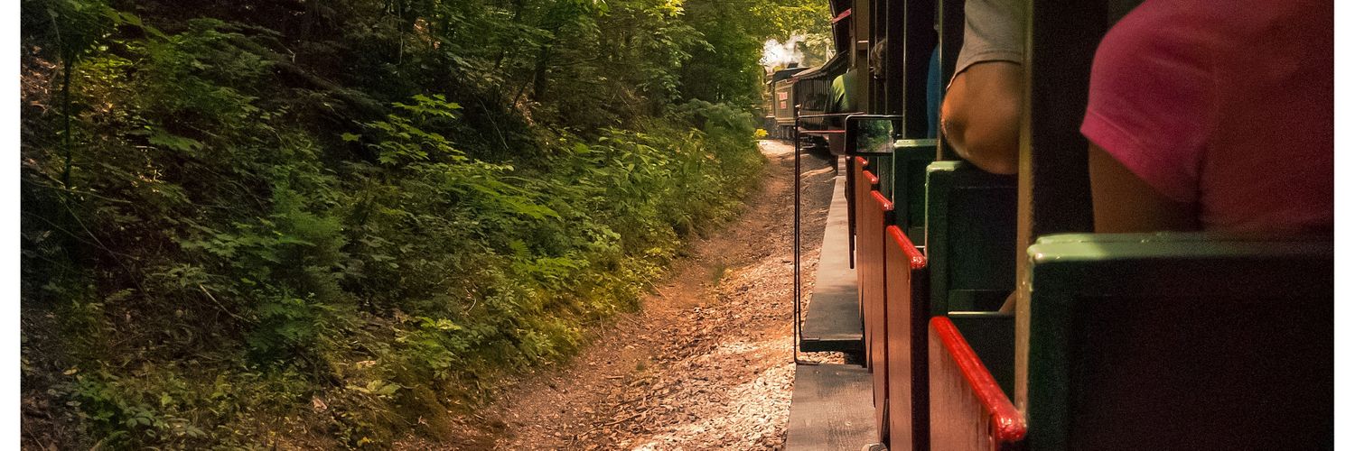 MoraesMatt's profile banner image