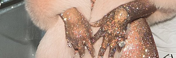 LtdCommodity Profile Banner
